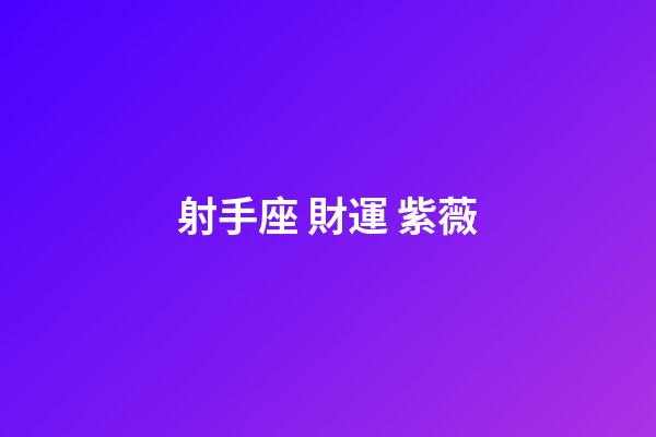 射手座 財運 紫薇
